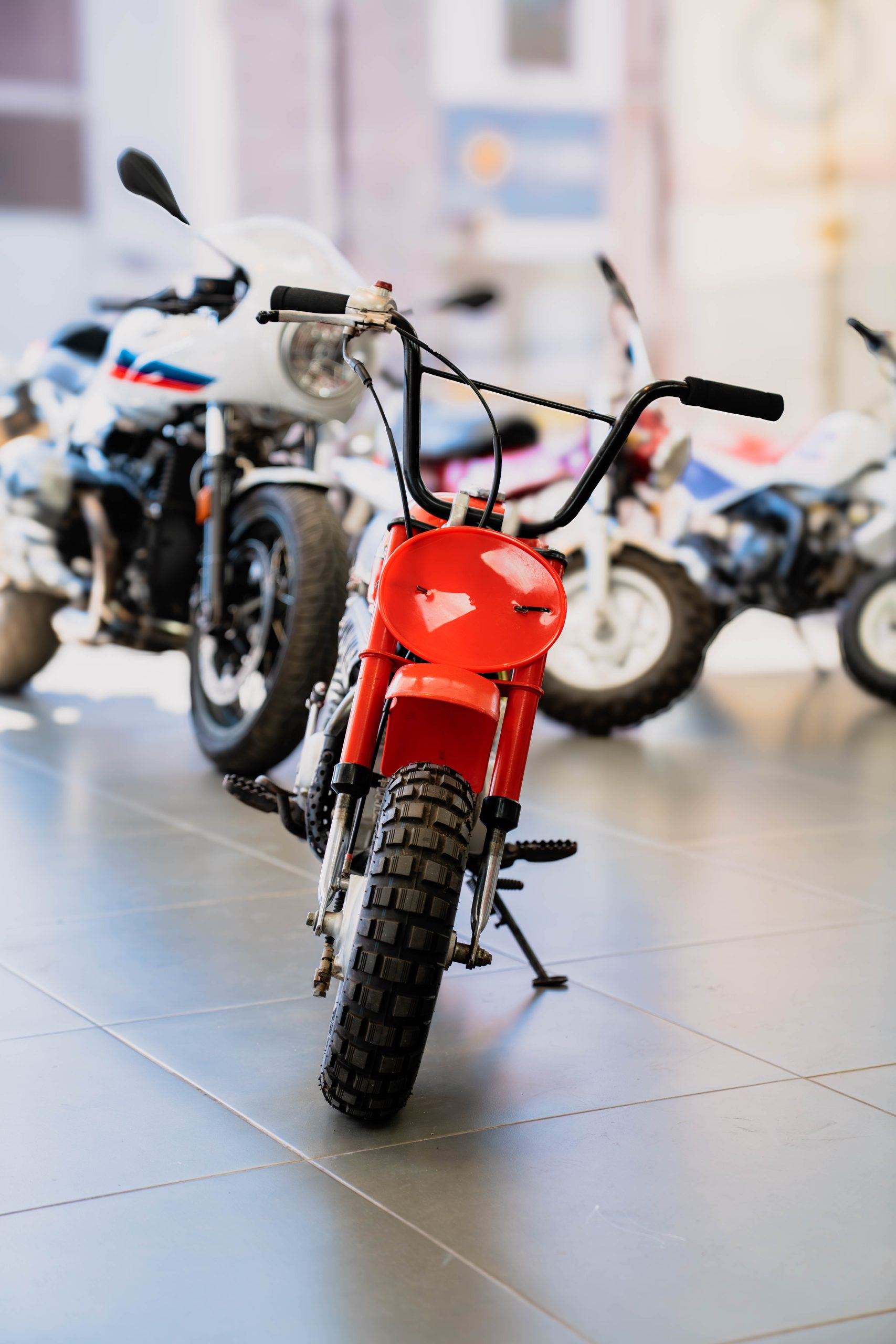 DSC08039-Mejorado-NR