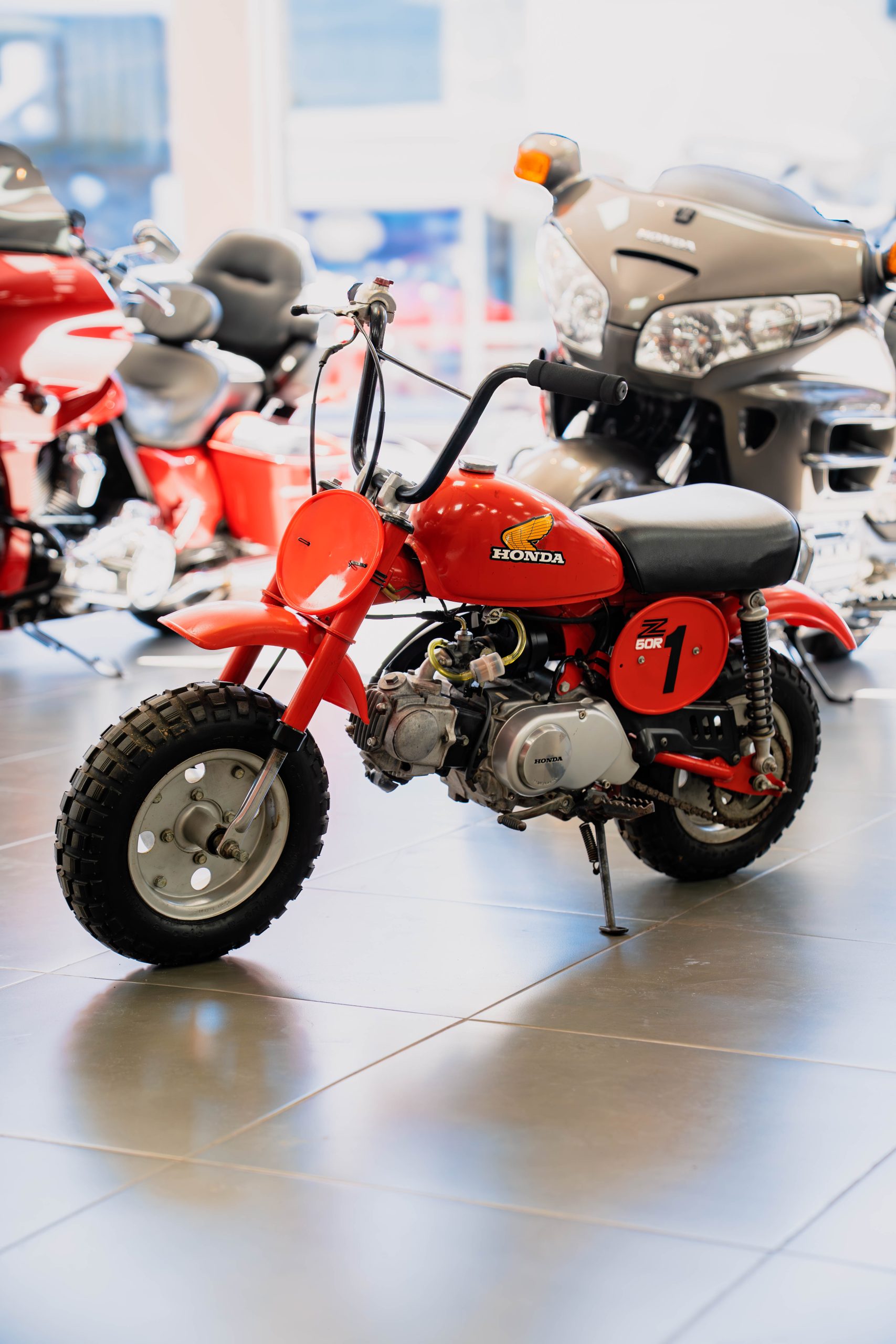 DSC08043-Mejorado-NR