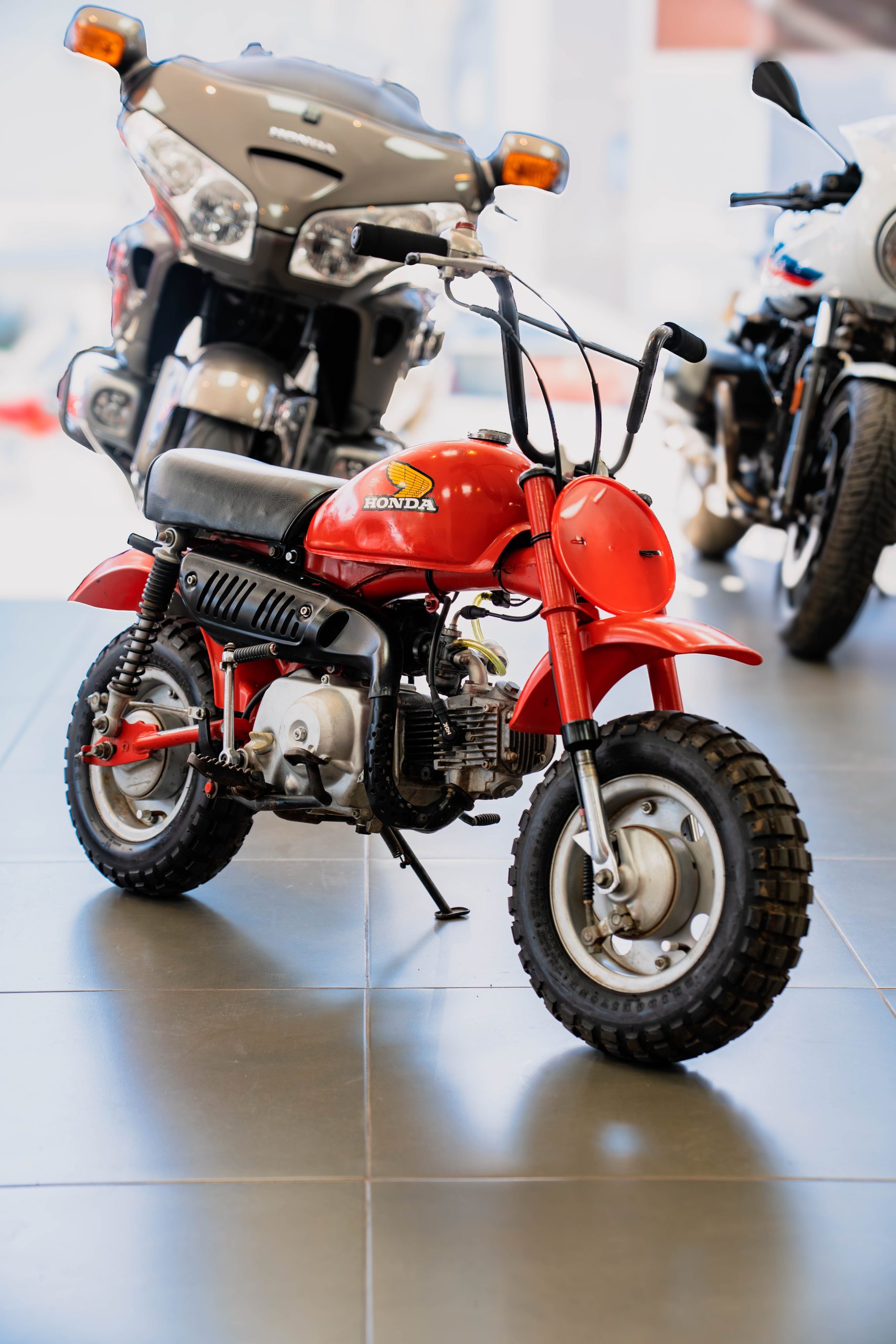 DSC08049-Mejorado-NR