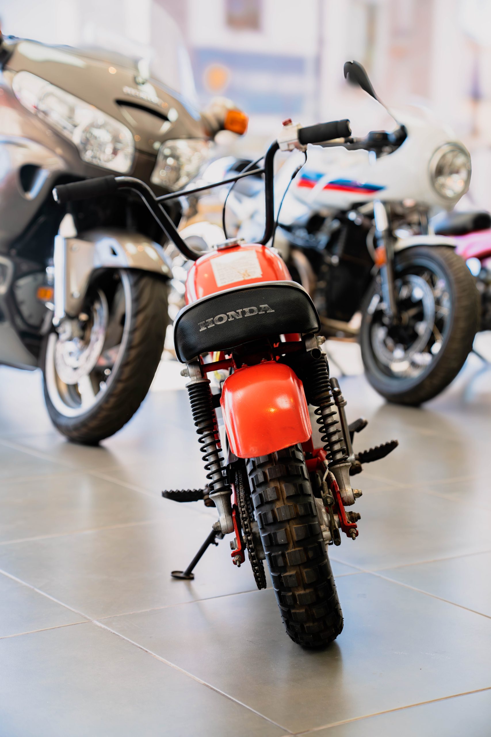 DSC08072-Mejorado-NR