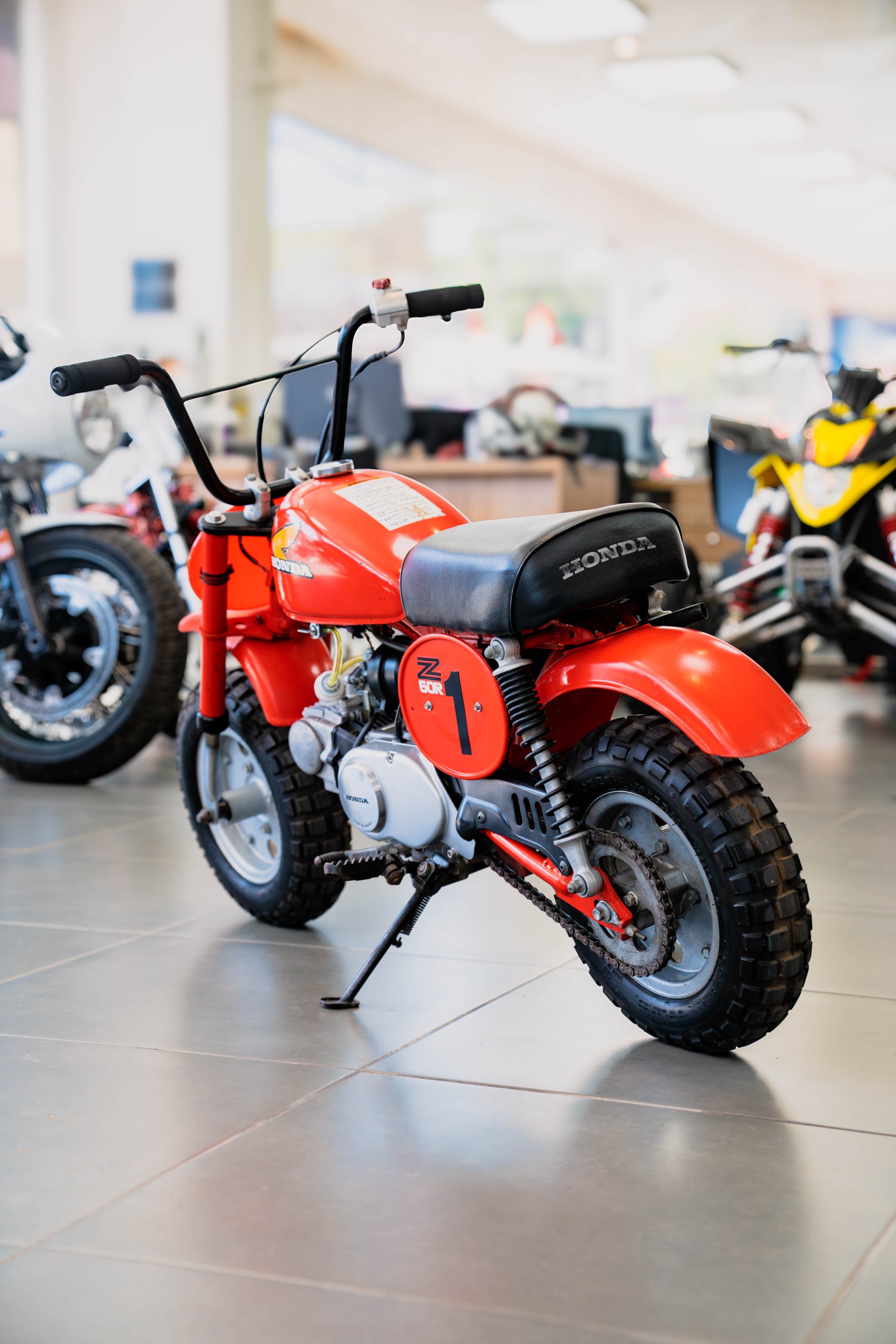 DSC08074-Mejorado-NR