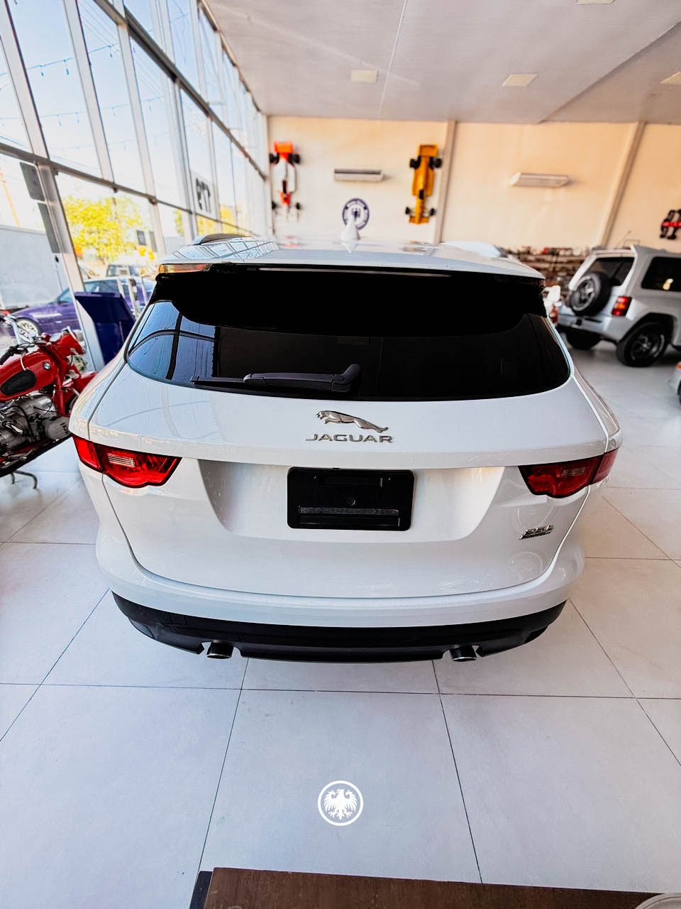 WhatsAppImage2025-11-24at14.49.121-1