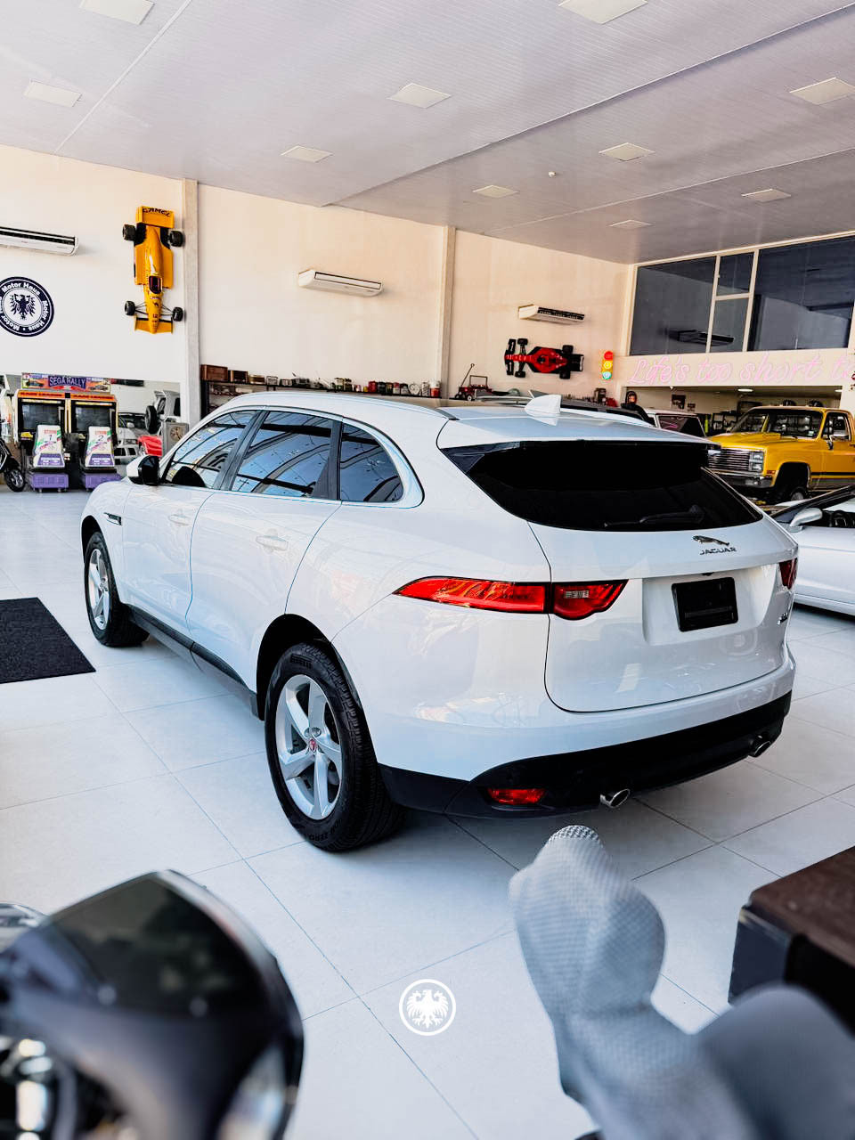 WhatsAppImage2025-11-24at14.49.122-1